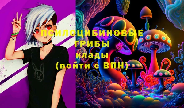 COCAINE Горно-Алтайск